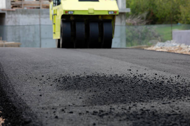 Best Driveway Repair Near Me  in Homer Glen, IL