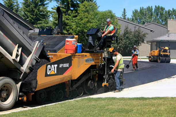Best Local Driveway Pavers  in Homer Glen, IL