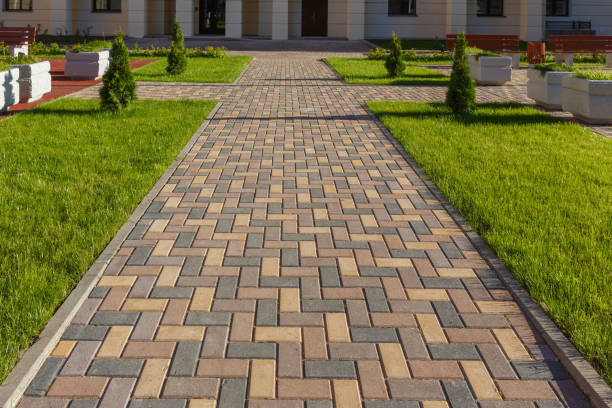 Best Driveway Repair Near Me  in Homer Glen, IL